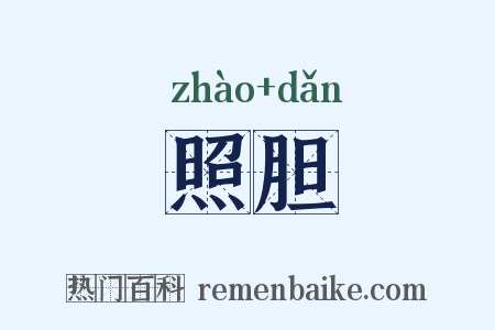 照胆是什么意思的图片
